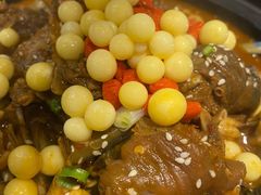 甲鱼锅-洪湘记川湘·甲鱼馆(四海凯悦美食广场店)