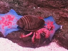 -沈阳海洋探索中心