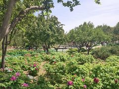 -太阳宫公园