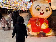 -沈阳奥体冰雪嘉年华