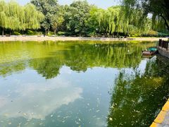 -团结湖公园