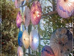 -海韵人家.海景花园经典云南菜(双廊店)