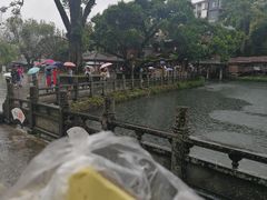 -蔺大妈松花糕