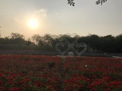 -广东花都香草世界旅游度假区