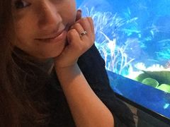 -迪拜帆船酒店海底餐厅