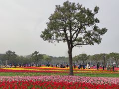 -大宁公园