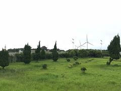 -小洋口旅游度假区