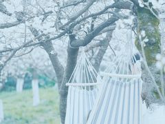 -国际非物质文化遗产博览园