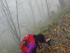 -太行锡崖沟旅游度假区