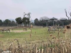 -宁波野生动物园