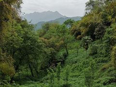 -青城山