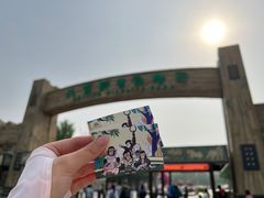 -北京野生动物园