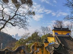 -涂山寺素食餐厅