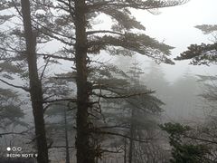 -峨眉山风景名胜区