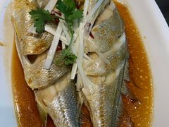 -鲜小岛·铜锅涮肉