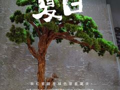 -京城·森鸽排档(双井店)