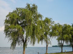 -阳澄湖半岛旅游度假区