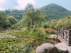 -武汉姚家山旅游景区