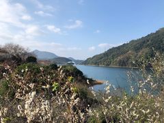 -广州市流溪河国家森林公园