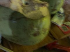 -八一湛江生蚝(文明东路总店)