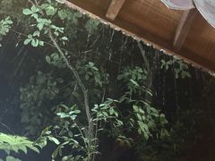 -天目湖涵田度假村