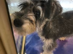 -乐宠宠物店(世纪金源店)