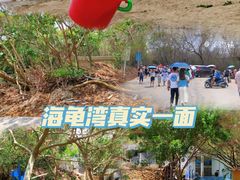 -广东惠东海龟国家级自然保护区