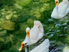 -奇迹健身(SM广场店)