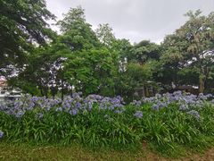 -海珠湖公园