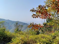 -林丰温泉度假山庄