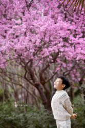 -西城映画儿童摄影(芝麻街店)