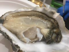 法国生蚝-HIHE Bistro·Oyster Bar(华熙live店)
