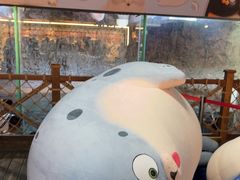-海合安青岛极地海洋公园