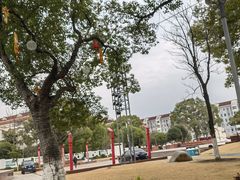 -七宝老街-闵行市民文化广场