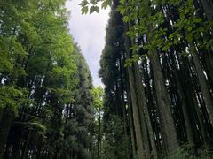 -山王坪喀斯特国家生态公园