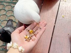 -音乐台