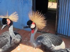 -哈尔滨北方森林动物园