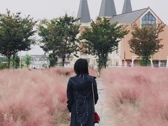 -鹅湖玫瑰文化园