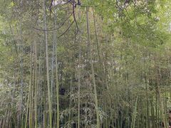 -陕拾叁(袁家村店)