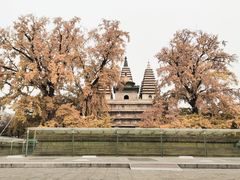 -北京石刻艺术博物馆(五塔寺)