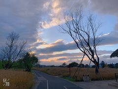 -良渚古城遗址公园