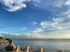 -宝安西湾红树林湿地公园