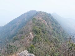 -午潮山国家森林公园