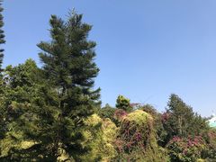 -深圳东部华侨城茵特拉根酒店