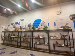 -能力风暴机器人编程中心