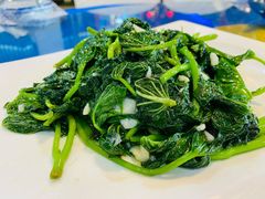 番薯叶-东江海鲜大排档·潮汕菜·砂锅粥