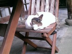 android_upload_pic-小雅青年旅舍(平江路店)