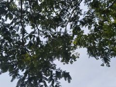 -太阳宫公园