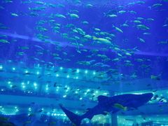 -成都浩海立方海洋公园