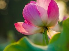 -东山风景区(洞庭东山)